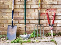 SMARTlife:   -.    ?!