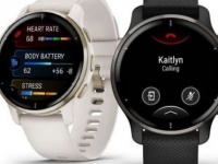 Garmin  - Venu 2 Plus    vivomove Sport