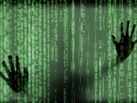      Windows, Linux  MacOS