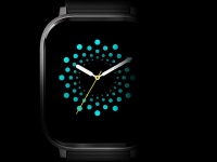  Fire-Boltt Ninja 2 Max