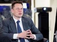   ,      Twitter    NFT