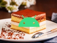   Android 13 Developer Preview ,      Tiramisu