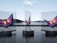 LG    OLED-