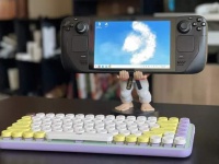 Valve     Steam Deck    