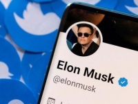     Tesla    $8,5 ,    Twitter