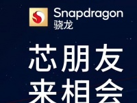 Snapdragon 8 Gen 1+     - Qualcomm   