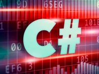   developer C#        