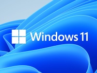       Windows 11
