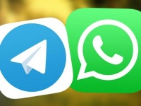 ,    Telegram   : WhatsApp   -   