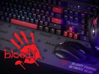  -   Bloody  : S510N, L65  ES5