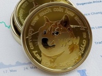          Dogecoin   $258 