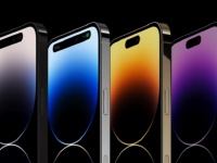 Samsung Display     iPhone 15     -   