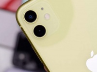   iPhone 11 -    