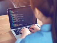  IT  Mate academy:  Front End, Java, Python   