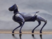 Xiaomi  - CyberDog 2  $1800        