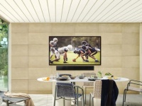 Samsung  85-   The Terrace  $20 .