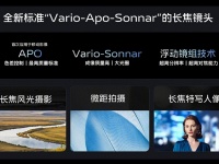  Vivo X100 Pro     100- 