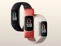 Fitbit  - Charge 6       $160