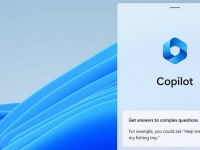 Microsoft    Windows 12      