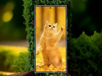   Samsung Galaxy S24 Ultra   Corning Gorilla Glass Armor