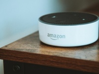 Amazon     Alexa