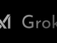 ز- xAI      Grok-2   X