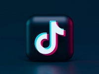      MrBeast    TikTok