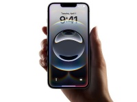 iPhone 16e   6,1-    -     Apple C1