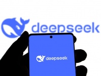 DeepSeek      