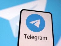      Telegram   WhatsApp  