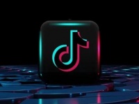  ,    TikTok   ,          