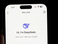 DeepSeek ,    ز-   