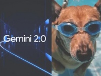 ز- Google Gemini '  ,    