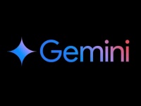 Google  Gemini   - ز    