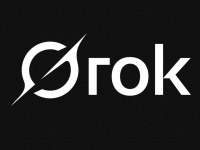 Grok 3.5    ز  :    X