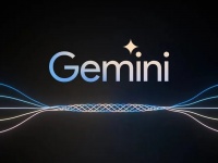 Google        Gemini