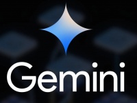   Google Gemini '   