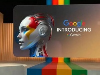   Gemini?      $20 000  Google