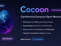     :   Cocoon -  ز    '  