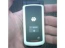    Motorola W450