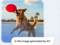 Google Gemini   ,    ز,     