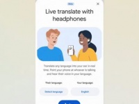 Google Translate       70   - 