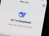 �������� ز-����� � �������� �������� ����� ��� ������� 15% �������� �����