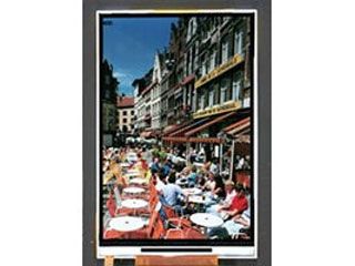 Epson Photo Fine Vistarich Neo