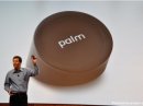  Palm Touchstone