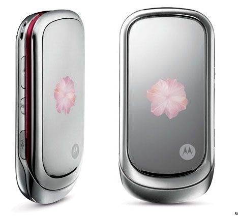 Motorola PEBL Rose Bloom