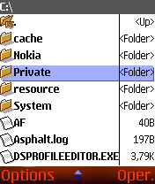 ����� ��������� Best FileMan