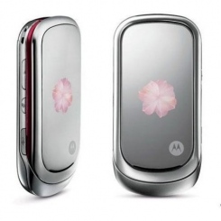 Motorola PEBL Rose Bloom -  2