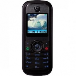 Motorola W205 -  11
