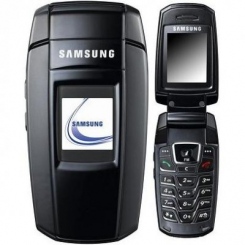 Samsung SGH-X300 -  1